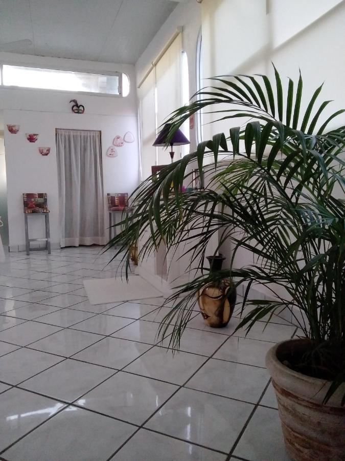 Boutique Basic Hotel Puerto Vallarta Dış mekan fotoğraf