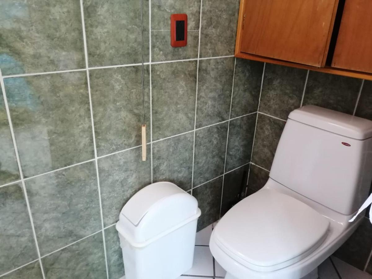 Boutique Basic Hotel Puerto Vallarta Dış mekan fotoğraf