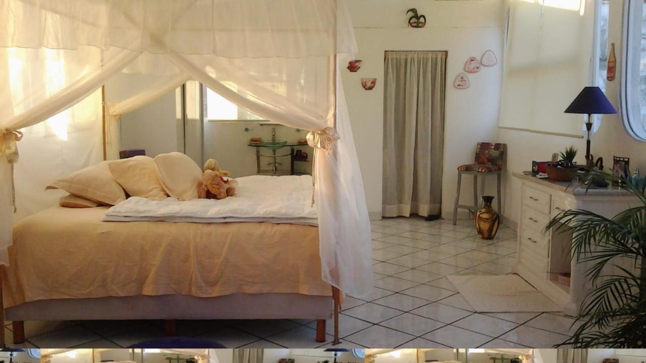 Boutique Basic Hotel Puerto Vallarta Dış mekan fotoğraf