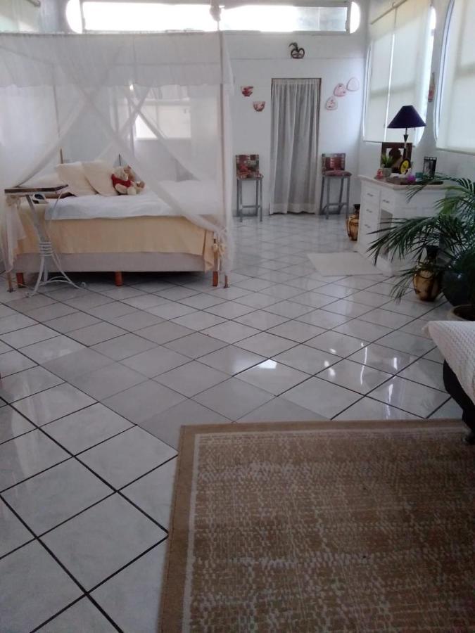 Boutique Basic Hotel Puerto Vallarta Dış mekan fotoğraf
