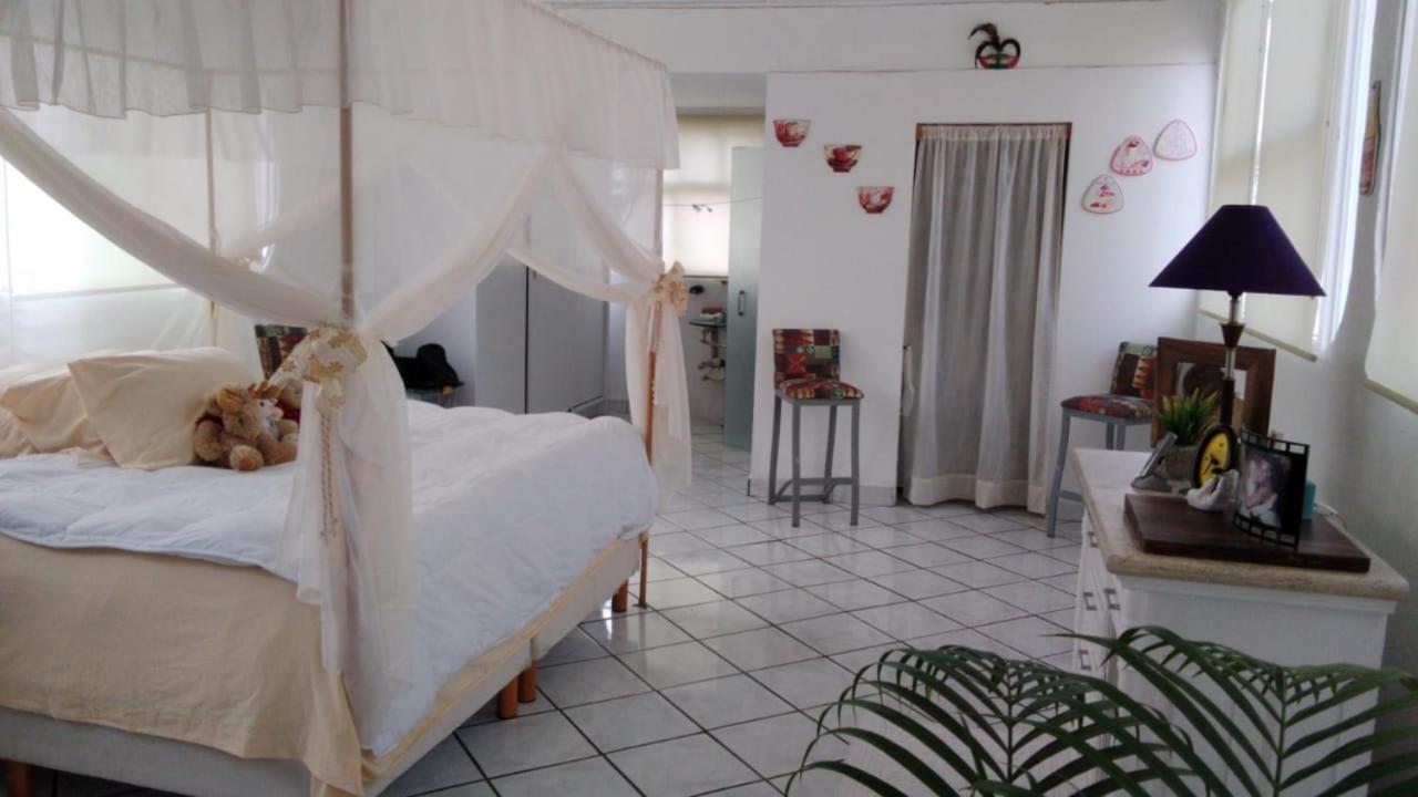 Boutique Basic Hotel Puerto Vallarta Dış mekan fotoğraf